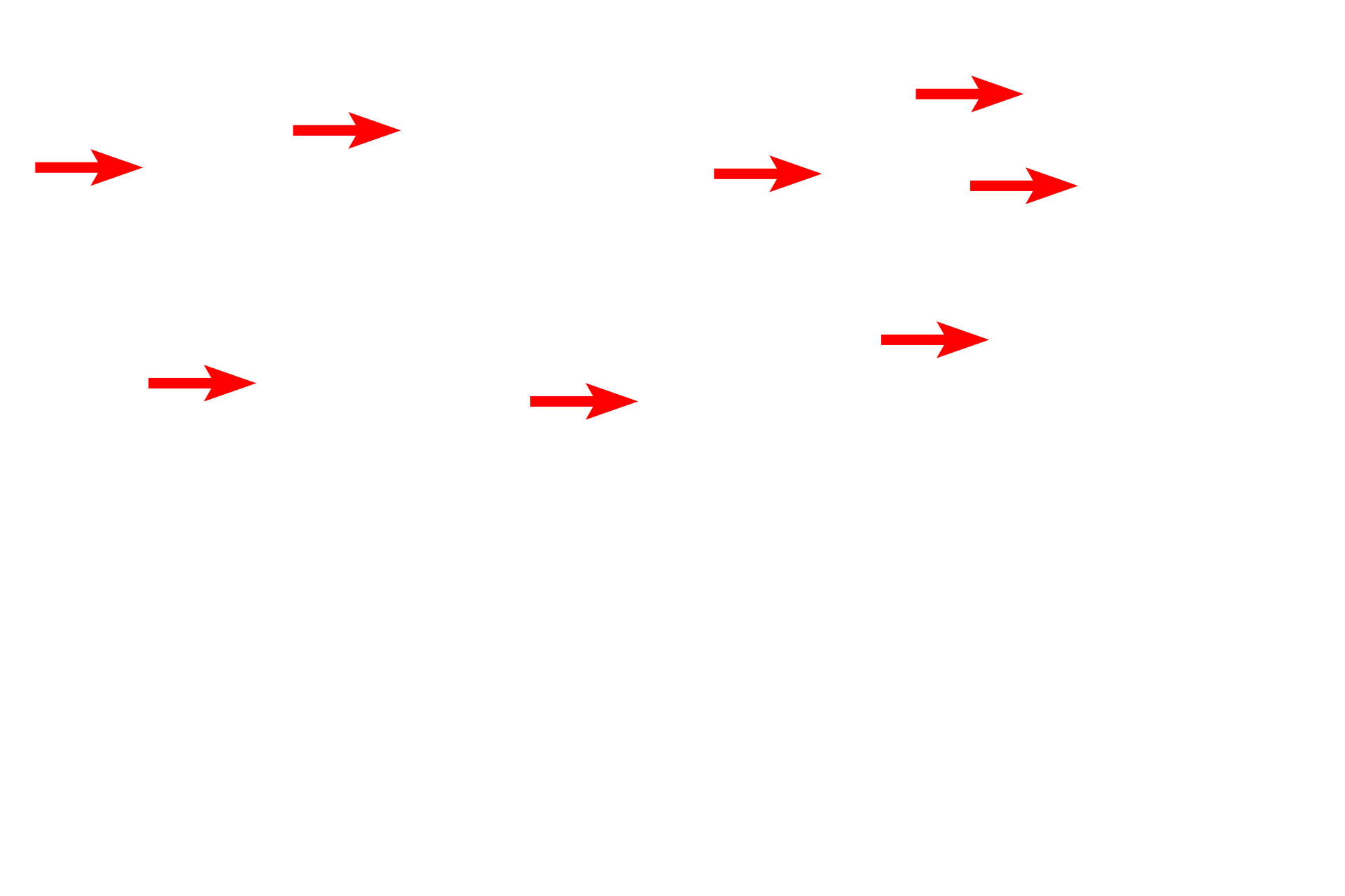  - Doublets <p>The axoneme forms the central core of a cilium and consists of nine pairs of microtubules (doublets) surrounding two central, individual microtubules (9 + 2 arrangement). The doublets arise from microtubules in the basal body, while the central pair is assembled de novo at the base of the cilium. Molecular interactions between the microtubule doublets produce the whip-like motion of the cilium while the central pair serves to regulate ciliary motility. The axoneme extends the length of the cilium and a similar structure is present in flagella.</p>
