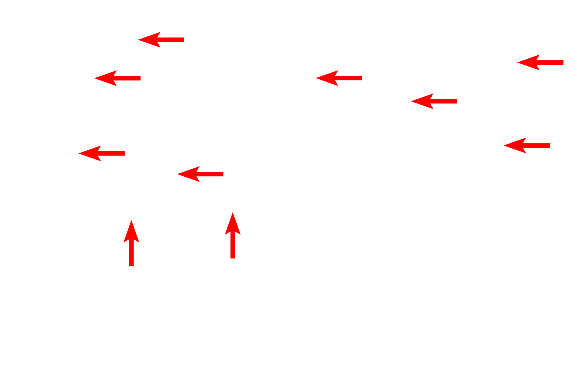  - Plasma membrane <p>The axoneme forms the central core of a cilium and consists of nine pairs of microtubules (doublets) surrounding two central, individual microtubules (9 + 2 arrangement). The doublets arise from microtubules in the basal body, while the central pair is assembled de novo at the base of the cilium. Molecular interactions between the microtubule doublets produce the whip-like motion of the cilium while the central pair serves to regulate ciliary motility. The axoneme extends the length of the cilium and a similar structure is present in flagella.</p>

