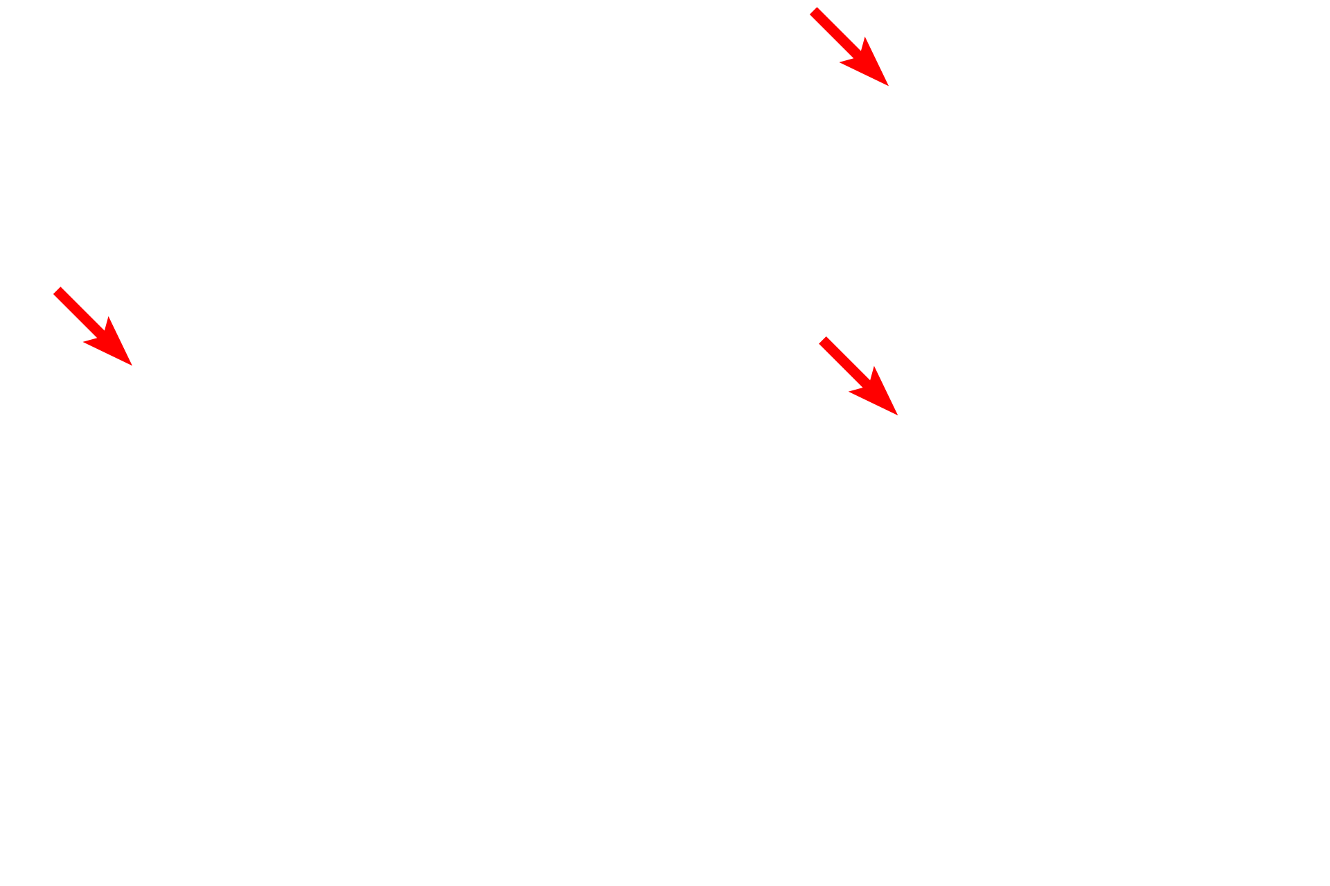 Microvilli >  <p>Ciliated cells also extend microvilli which are much shorter than cilia and have a core of microfilaments rather than microtubules.</p>
