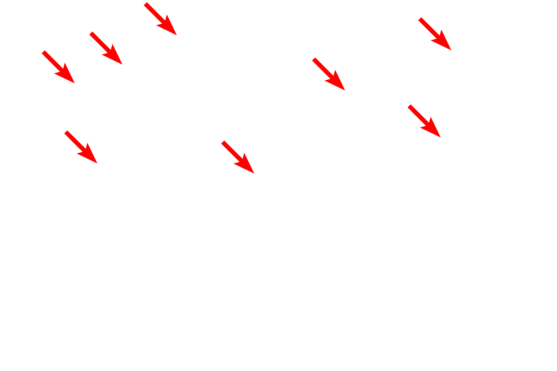  - Central pair <p>The axoneme forms the central core of a cilium and consists of nine pairs of microtubules (doublets) surrounding two central, individual microtubules (9 + 2 arrangement). The doublets arise from microtubules in the basal body, while the central pair is assembled de novo at the base of the cilium. Molecular interactions between the microtubule doublets produce the whip-like motion of the cilium while the central pair serves to regulate ciliary motility. The axoneme extends the length of the cilium and a similar structure is present in flagella.</p>
