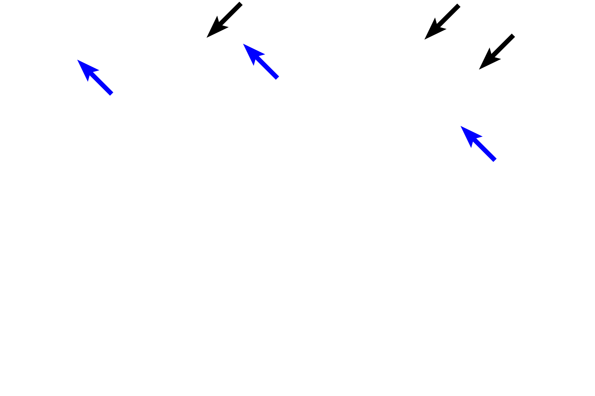  - Squamous cells > <p>In a stratified squamous moist epithelium, cells retain their nuclei, even at the surface (blue arrows). Surface cells are sloughed off into the lumen (black arrows).</p>
